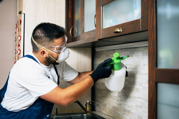 Best Mosquito Control Services  in Elkridge, MD