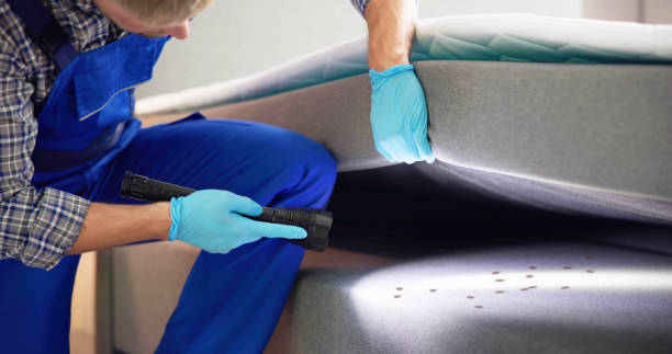 Best Insect Control  in Elkridge, MD