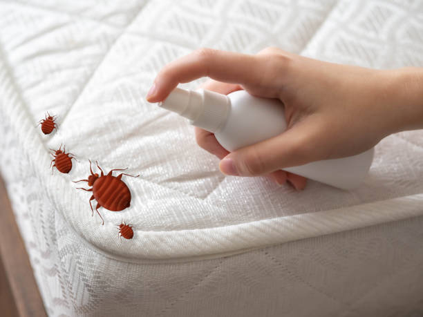 Best Best Pest Control Near Me  in Elkridge, MD