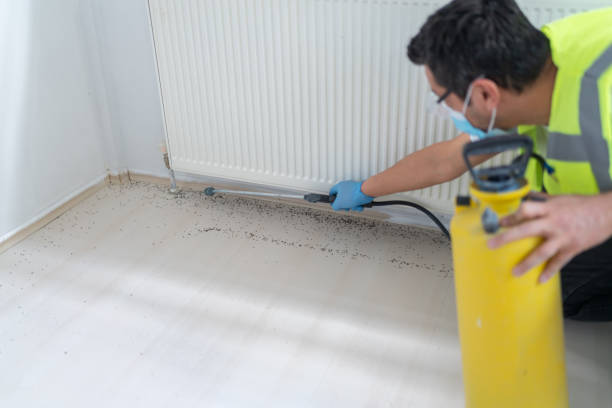 Best Pest Control Near Me  in Elkridge, MD