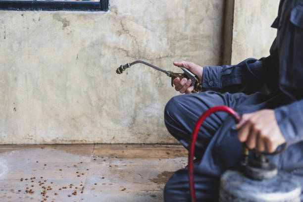 Best Best Pest Control Companies  in Elkridge, MD
